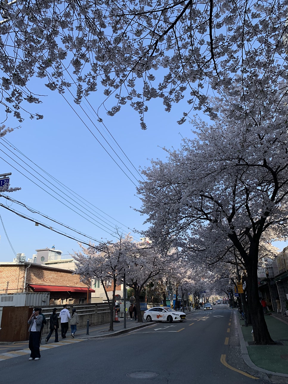 강풀 만화거리