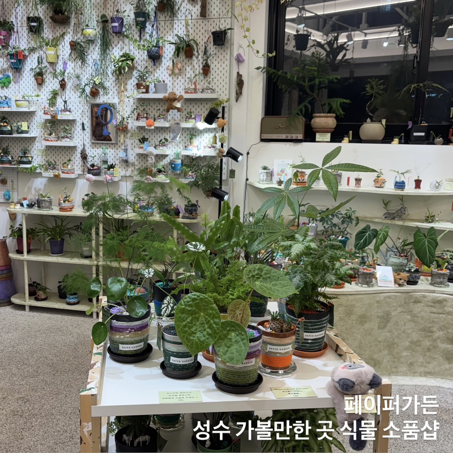 페이퍼가든, 초록빛 식물이 가득한 감성 소품샵에서의 시간